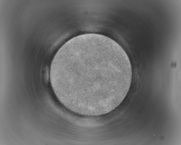 X0000112380020200909241225