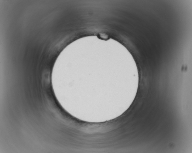 X0000112380021200909241225