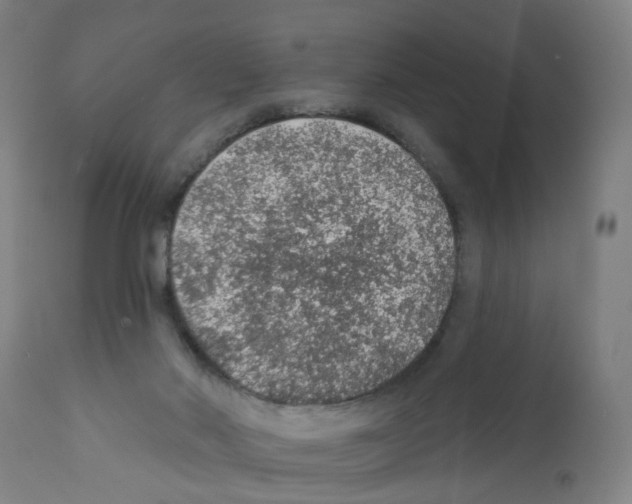 X0000112380022200909241225