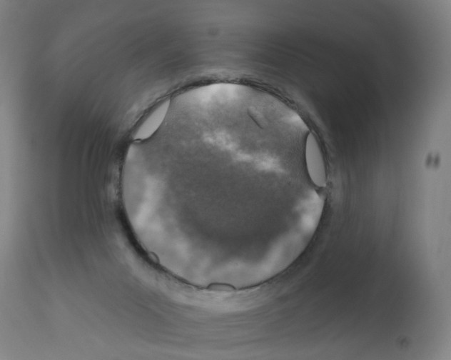 X0000112380023200909241225