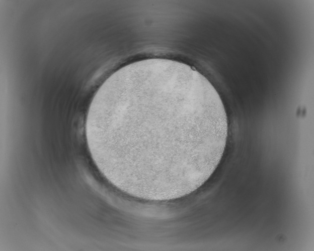 X0000112380024200909241225