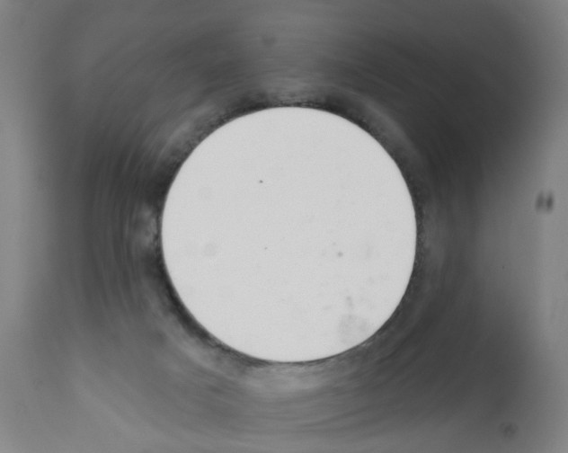 X0000112380025200909241225