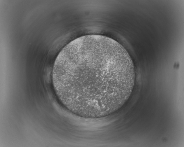 X0000112380026200909241225