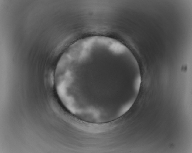 X0000112380027200909241225