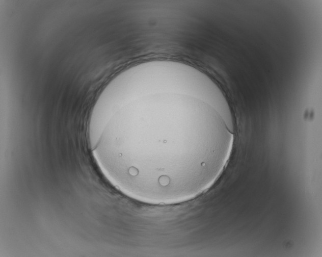 X0000112380029200909241225