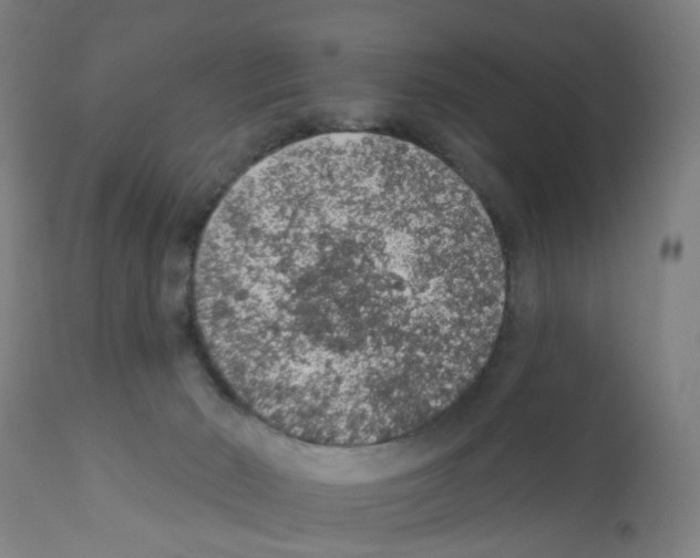 X0000112380030200909241225