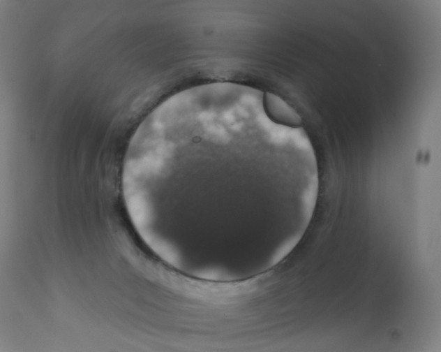 X0000112380031200909241225