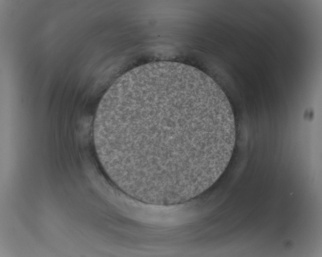 X0000112380034200909241225