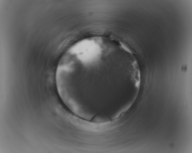 X0000112380035200909241225