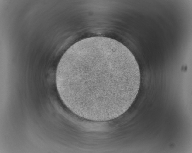 X0000112380036200909241225