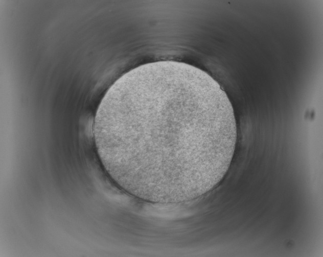 X0000112380041200909241225