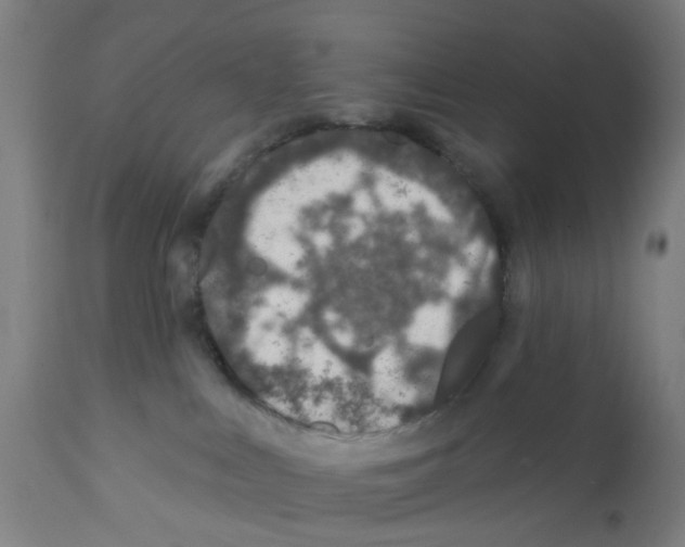 X0000112380043200909241225