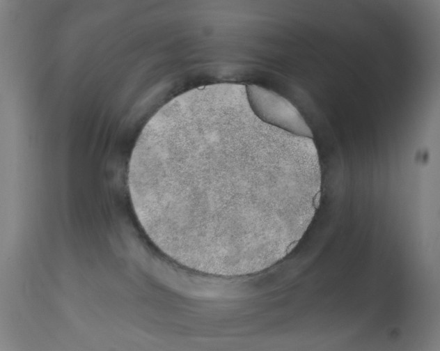 X0000112380044200909241225