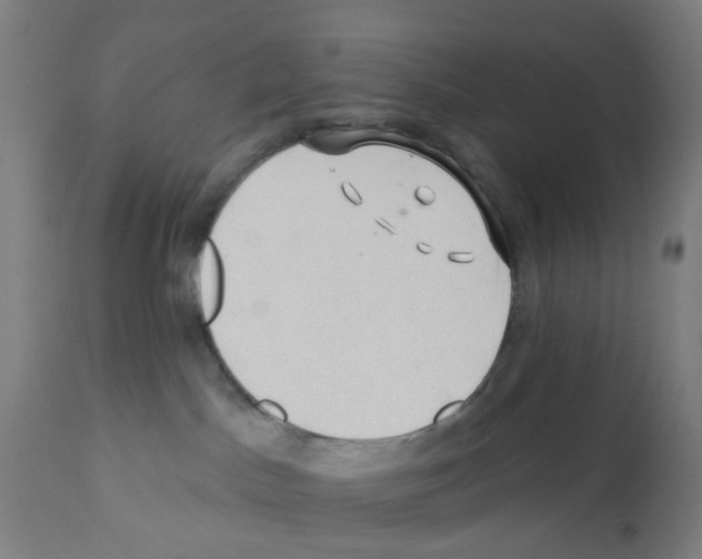 X0000112380045200909241225