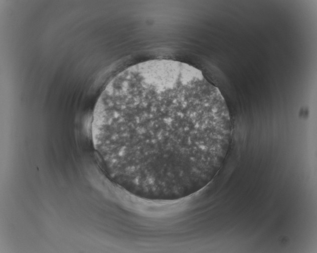 X0000112380047200909241225