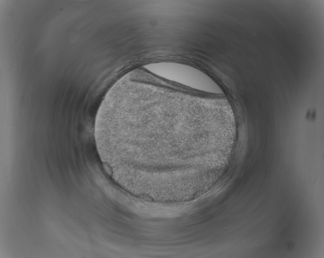 X0000112380048200909241225