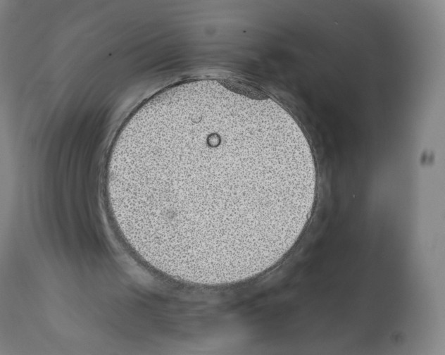 X0000112380049200909241224