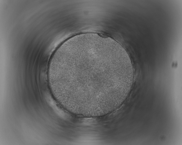 X0000112380050200909241224