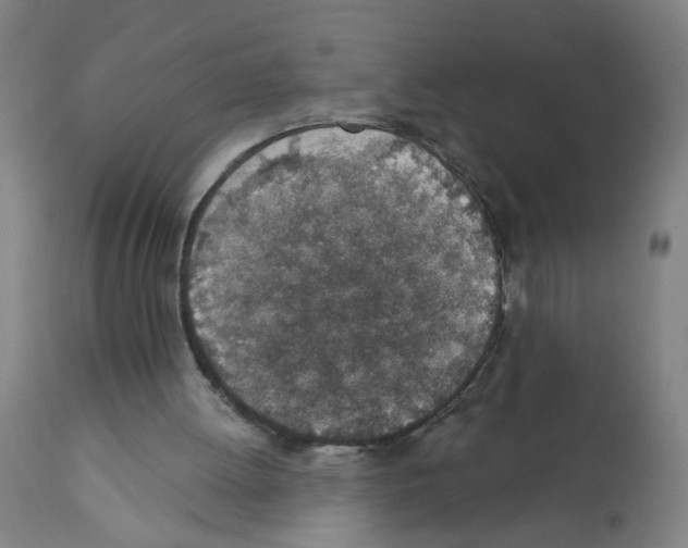 X0000112380052200909241224