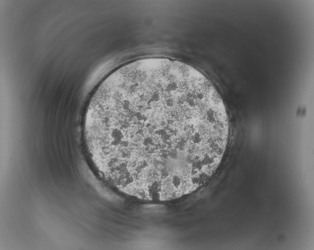 X0000112380053200909241224