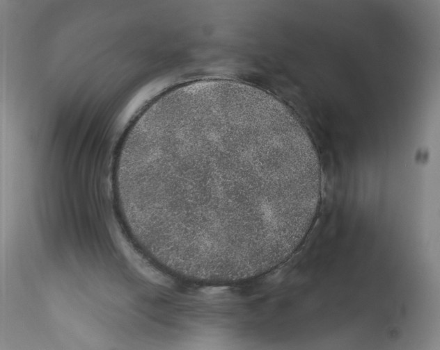 X0000112380054200909241224