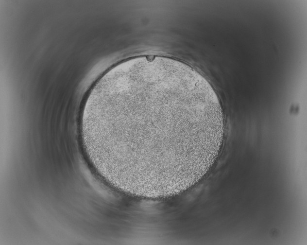 X0000112380055200909241224