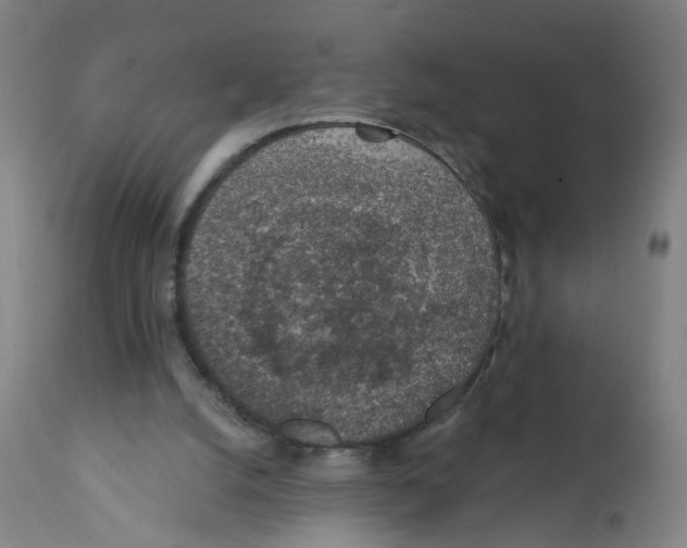 X0000112380056200909241224