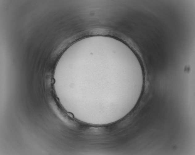 X0000112380057200909241224