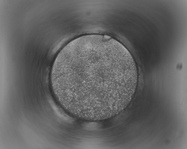 X0000112380058200909241224