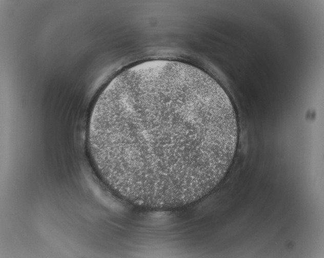 X0000112380059200909241224