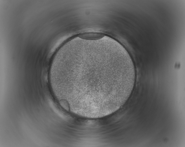 X0000112380060200909241224