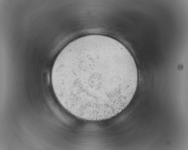 X0000112380061200909241224