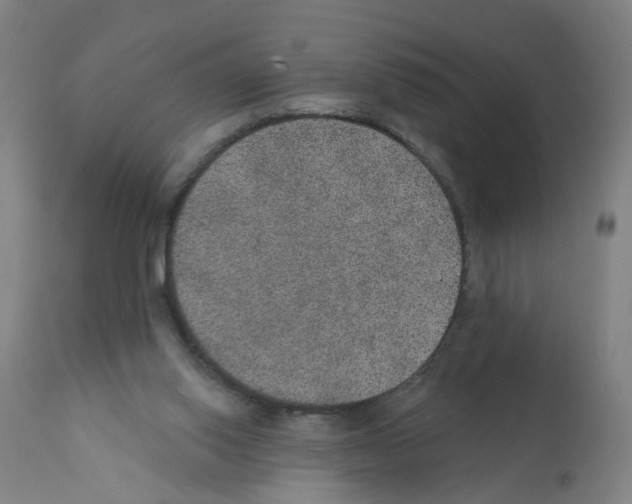 X0000112380062200909241224