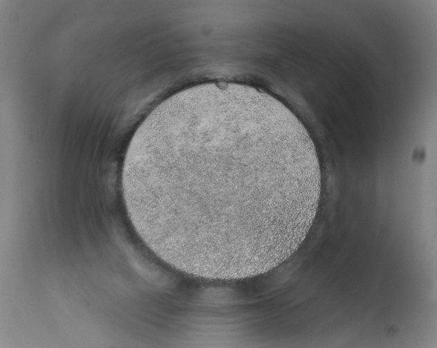 X0000112380066200909241225