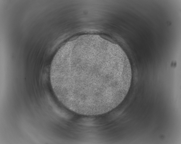 X0000112380071200909241225