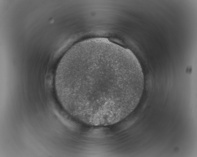 X0000112380072200909241225