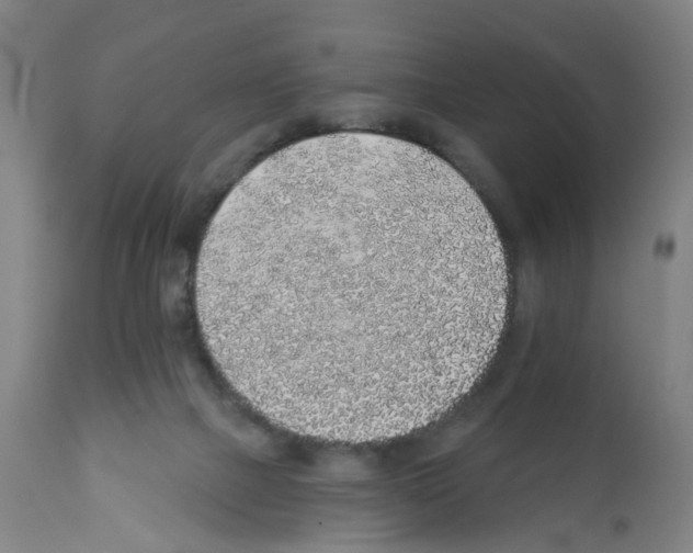 X0000112380073200909241225