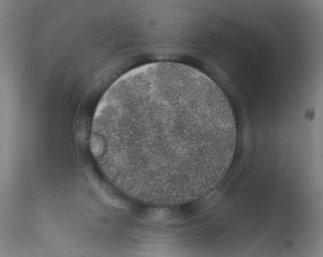 X0000112380074200909241225