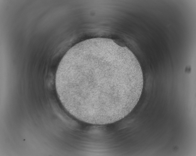 X0000112380077200909241225