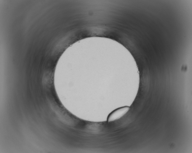 X0000112380079200909241225