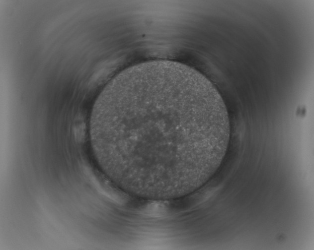 X0000112380080200909241225