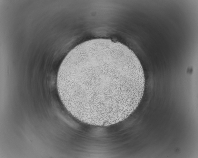 X0000112380081200909241225