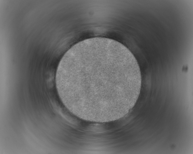 X0000112380082200909241225