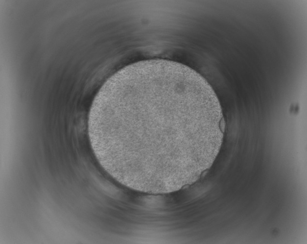 X0000112380085200909241225