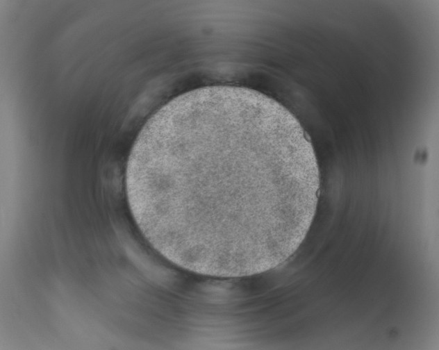 X0000112380086200909241225