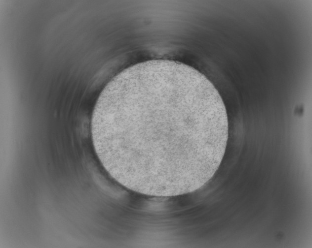 X0000112380090200909241225