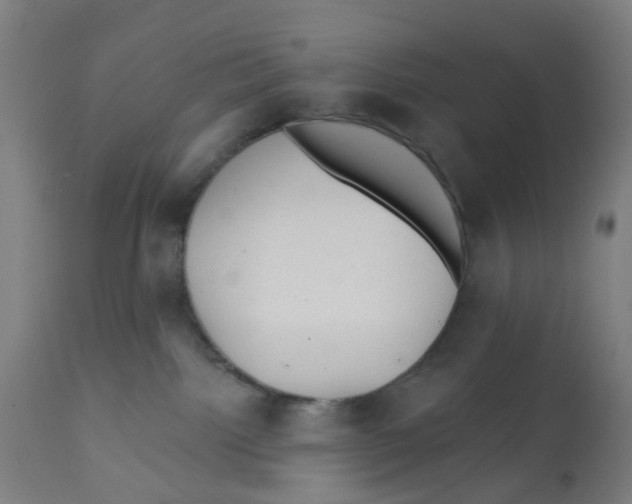 X0000112380092200909241225