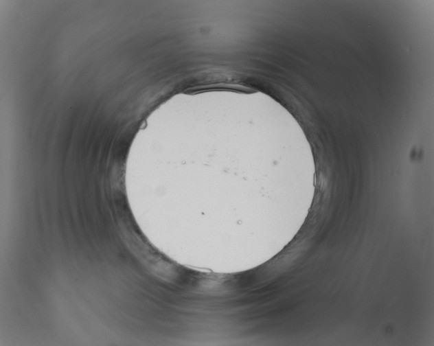 X0000112380096200909241225