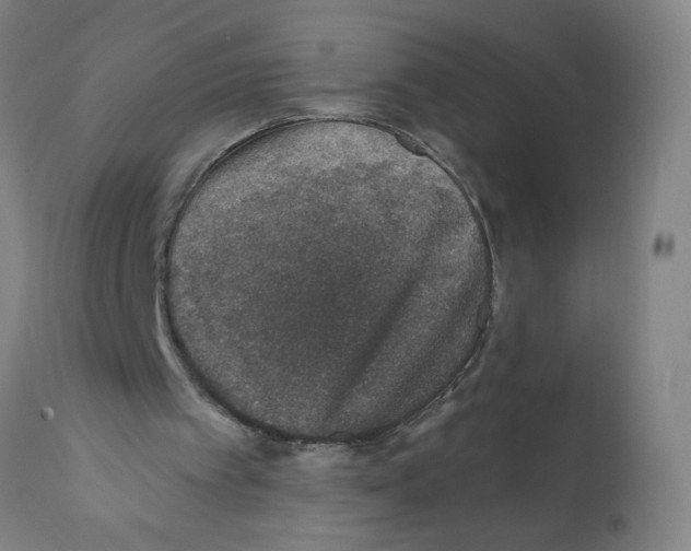 X0000112380097200909241224