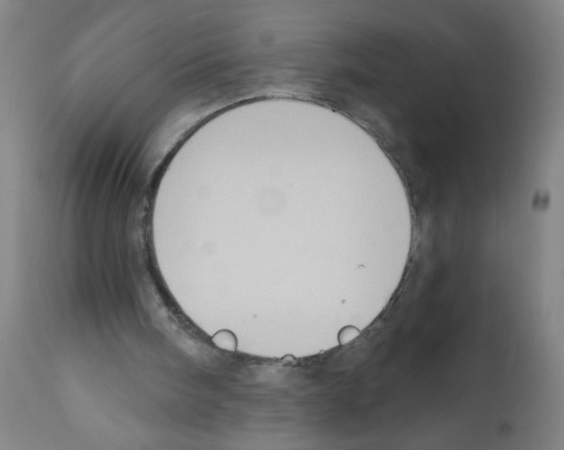 X0000112380098200909241224